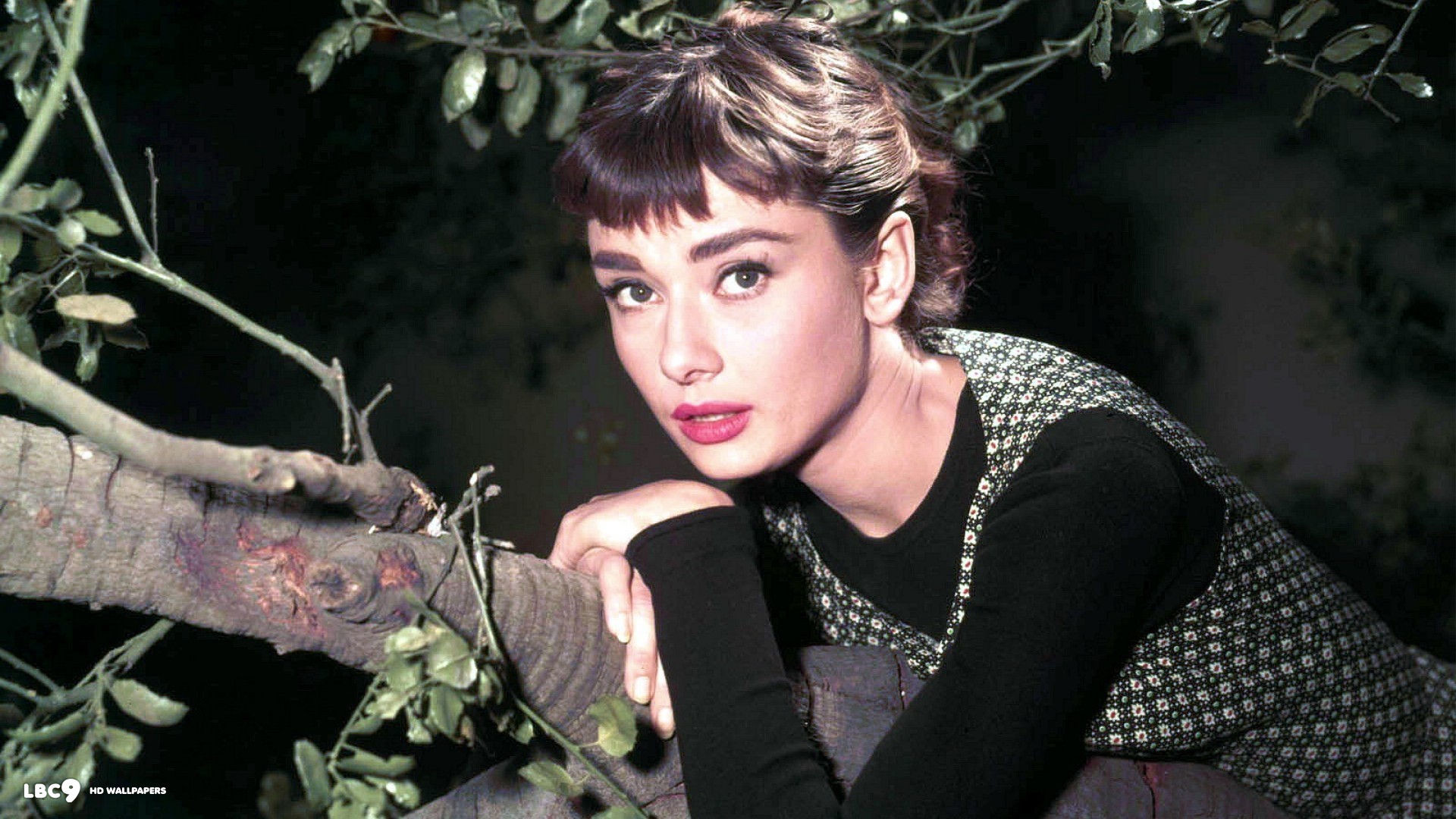 Audrey Hepburn In Color Background 
 Data Src Audrey - Audrey Hepburn - HD Wallpaper 