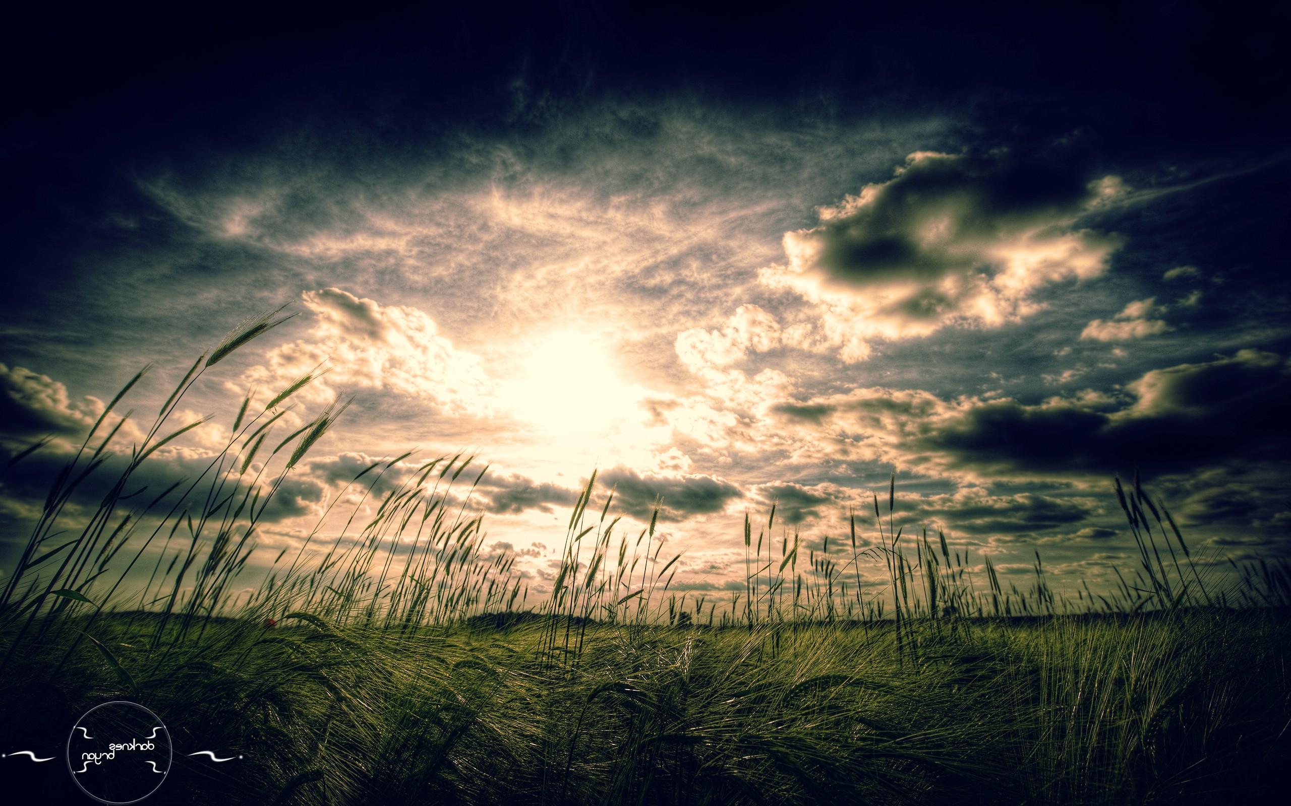 Wallpaper - HD Wallpaper 