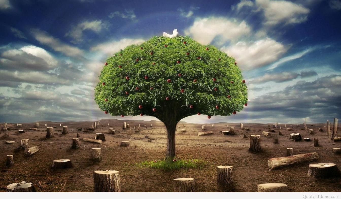 Alone Tree 3d Hd Wallpaper Collection - 3d Mobile Wallpaper Collection - HD Wallpaper 