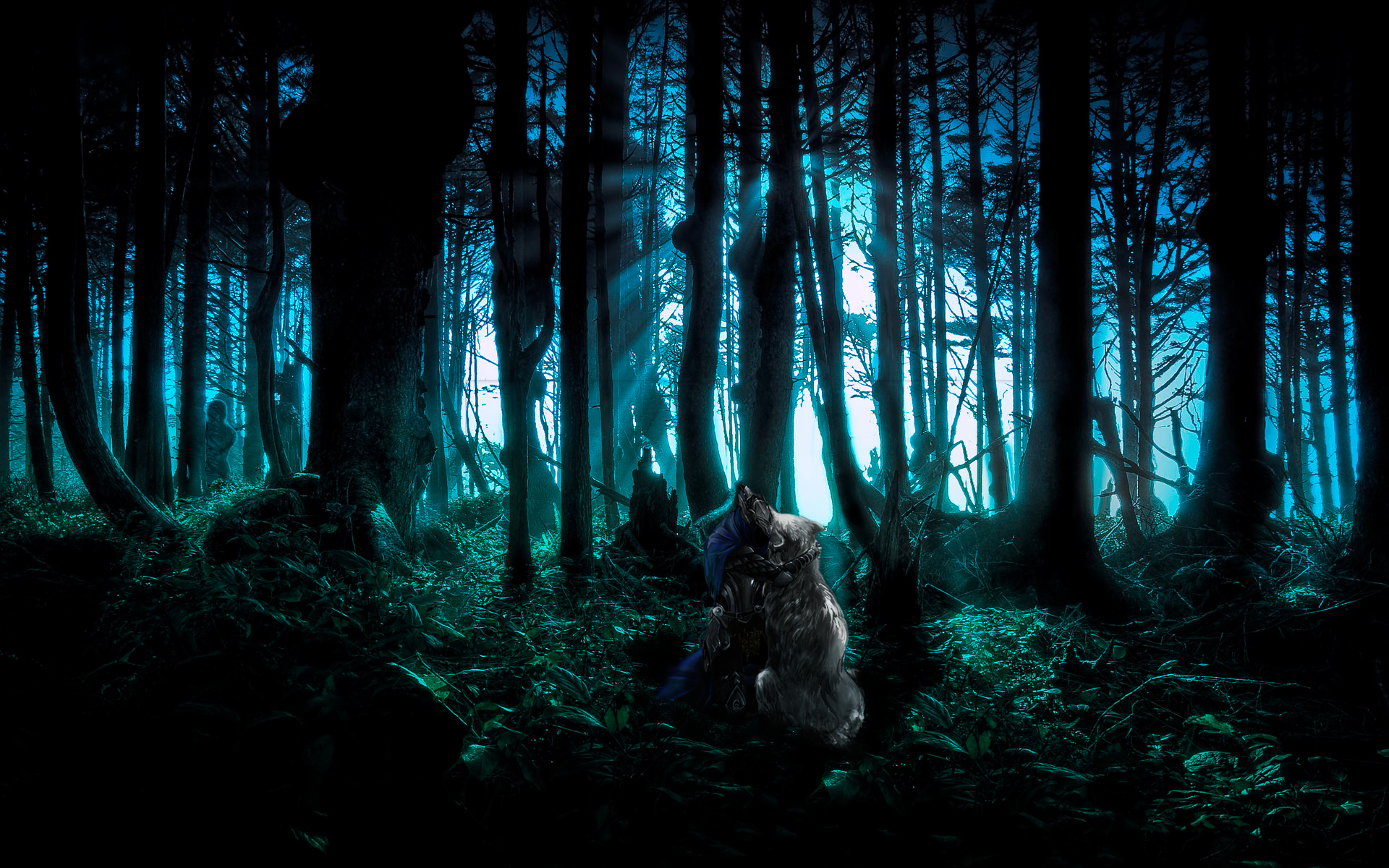 Artorias Wallpaper - HD Wallpaper 