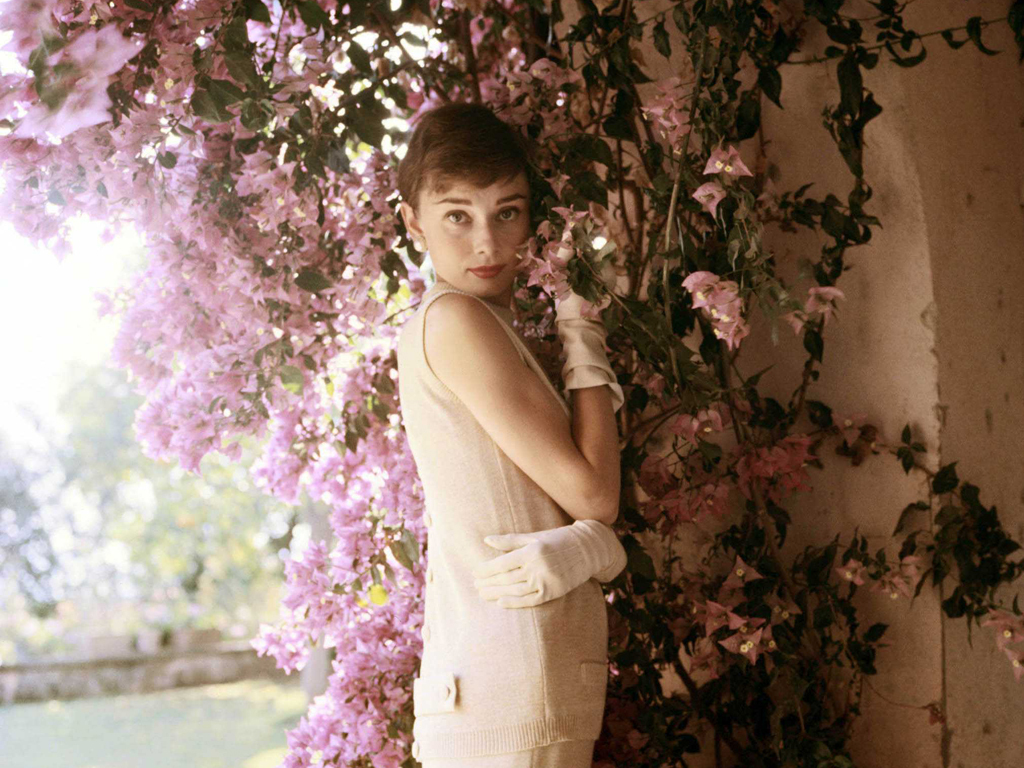 Audrey Hepburn Image - Norman Parkinson Audrey Hepburn With Flowers 1955 - HD Wallpaper 