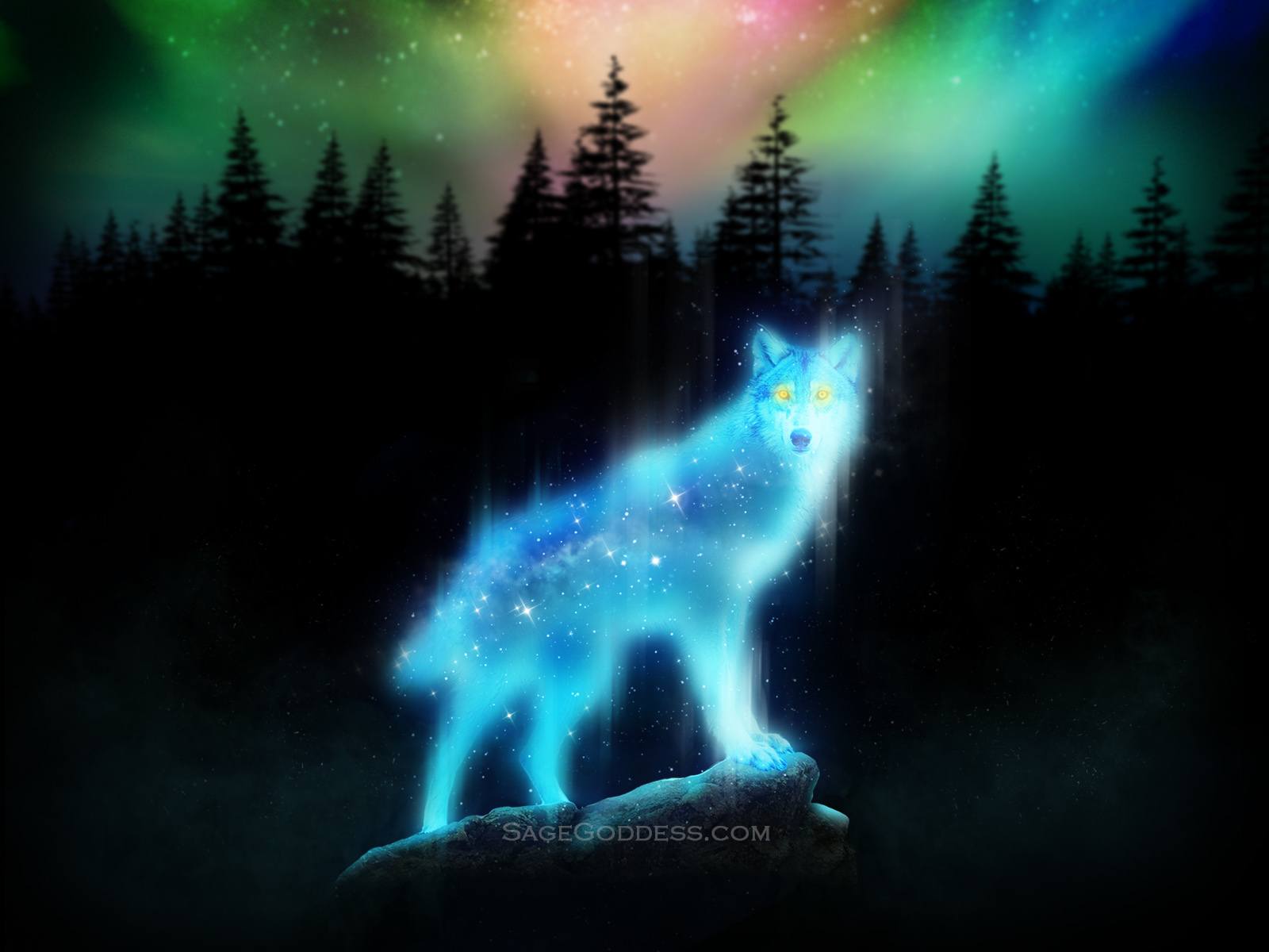 Wolf Spirit Animal Art - HD Wallpaper 