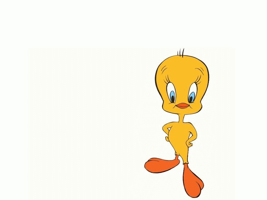 Looney Tunes Tweety - Tweety Bird Moving Animation - HD Wallpaper 