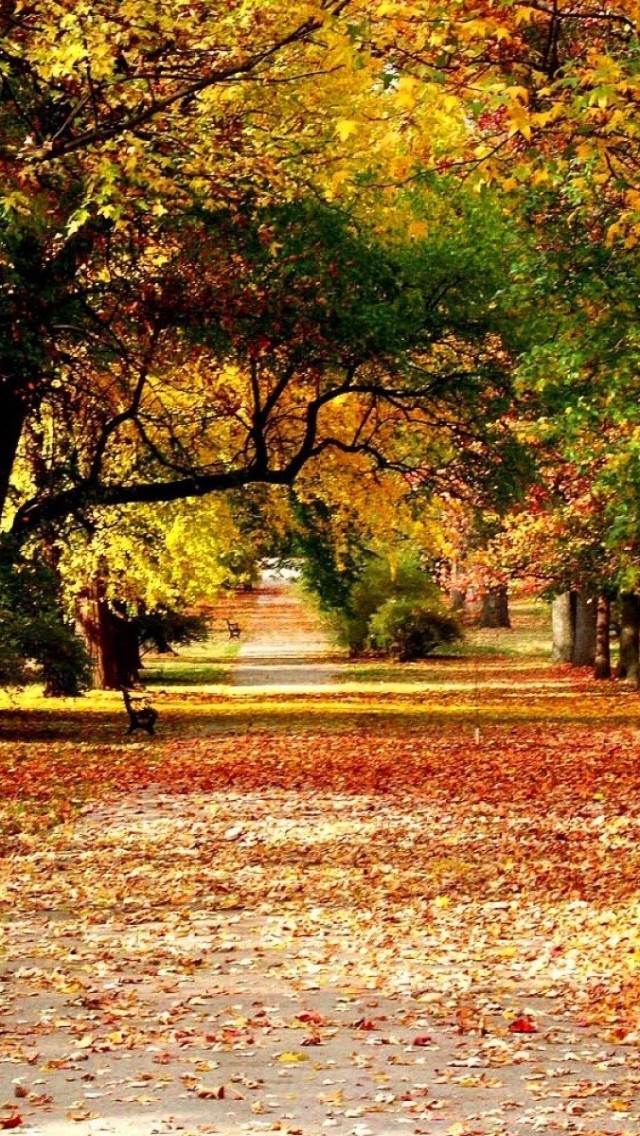 Full Hd Best Hd Scenery - HD Wallpaper 