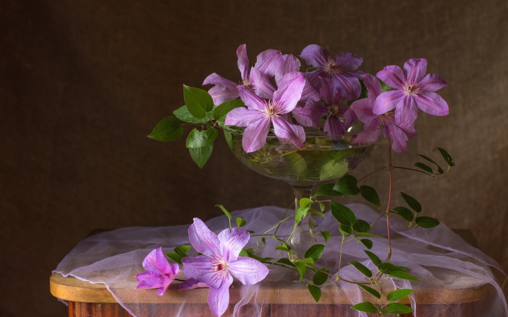 Скачать Бесплатные Обои Рабочего Стола Натюрморт - HD Wallpaper 