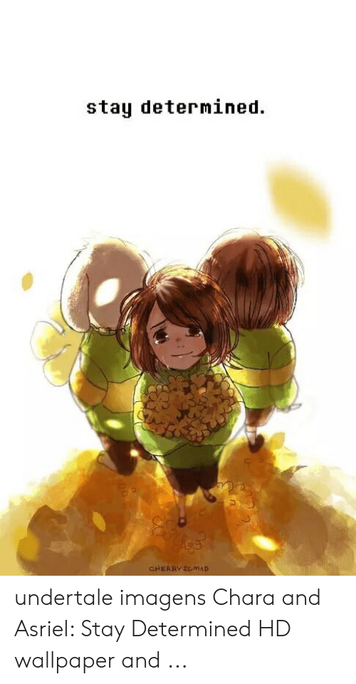 Wallpaper, Stay, And Asriel - Chara Wallpaper 4k Undertale - HD Wallpaper 