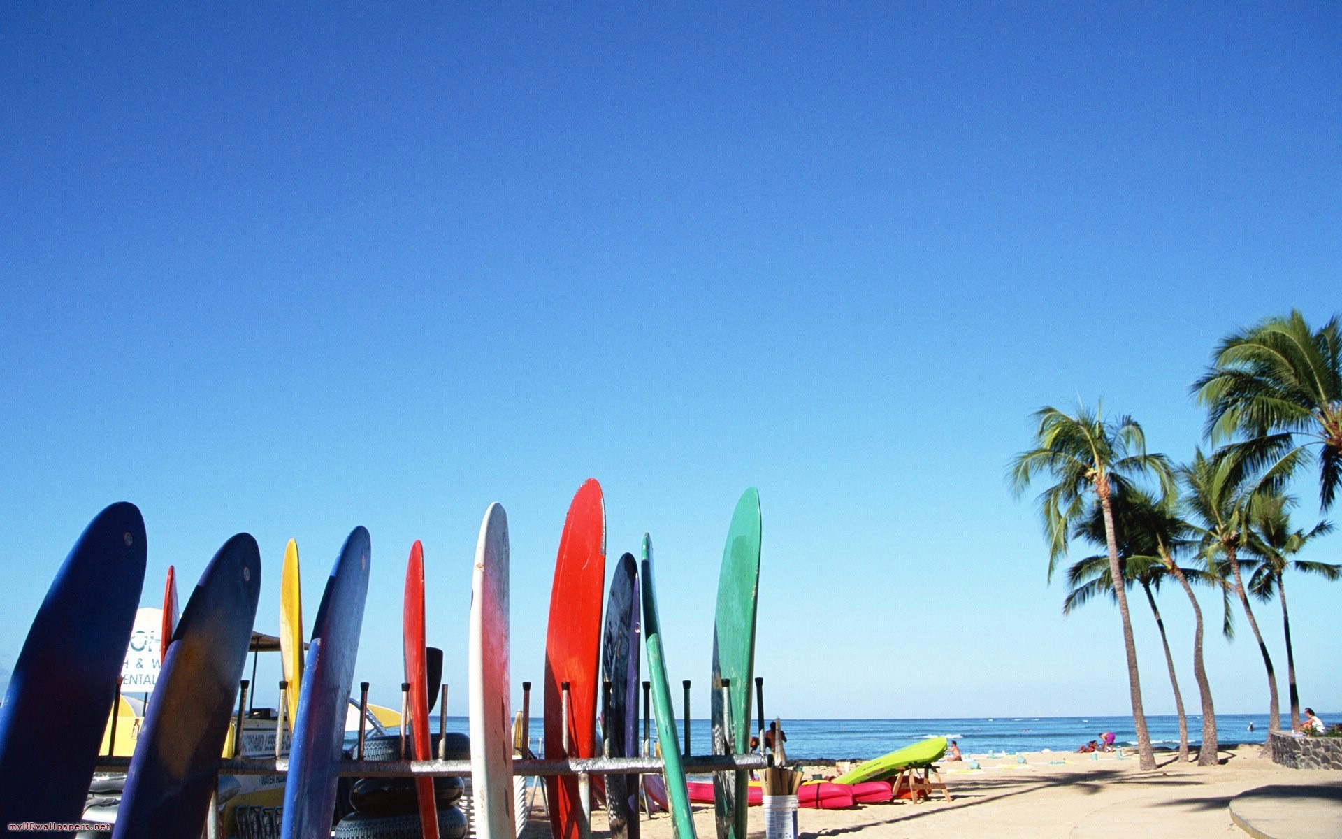 Surfboards Wallpaper Hd - HD Wallpaper 