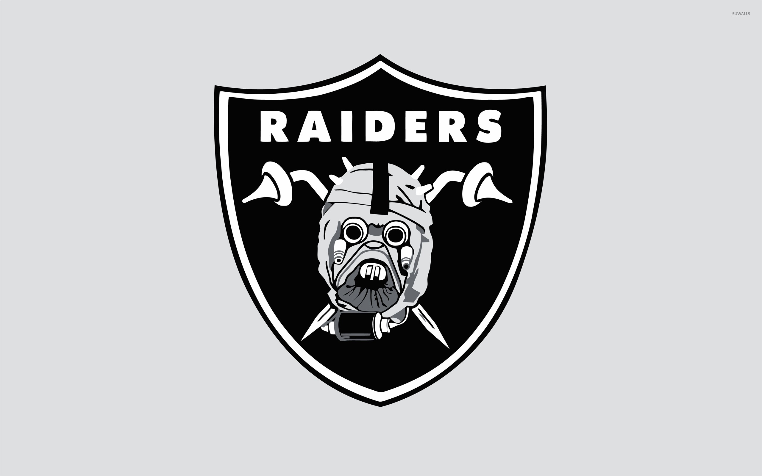 2560x1600, Oakland Raiders Wallpaper 
 Data Id 216577 - American Football California Team - HD Wallpaper 