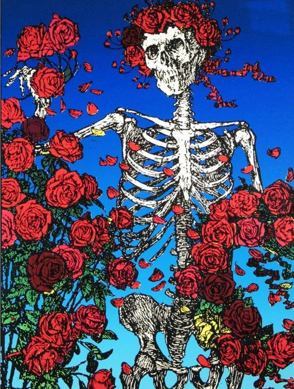 Grateful Dead Skull And Roses - HD Wallpaper 