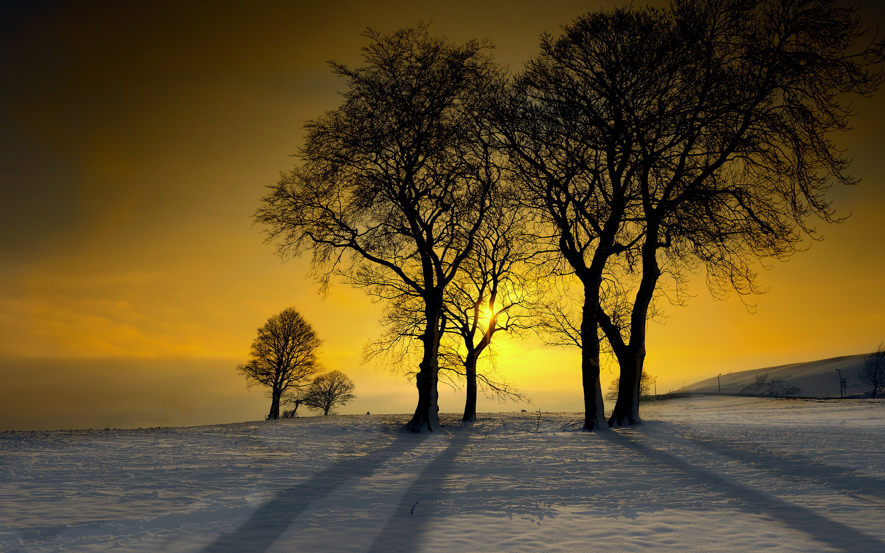 Winter Sunshine Glow - Winter Sunshine - HD Wallpaper 