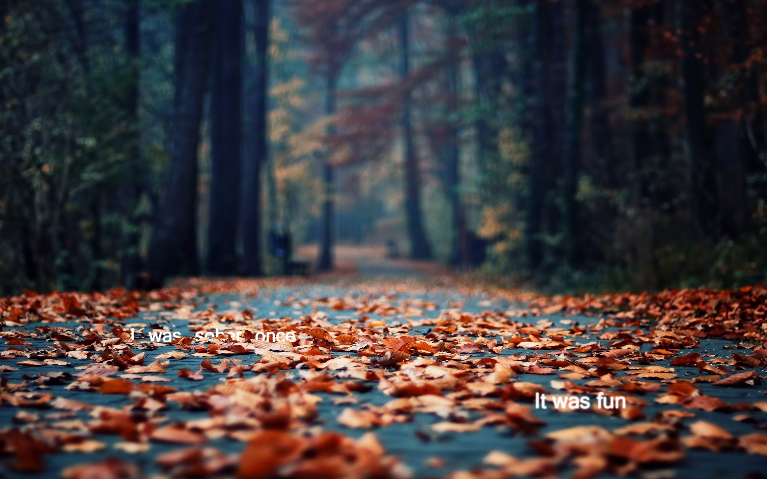Samsung Galaxy S4 Mini - Fall Hd Wallpaper For Mac - HD Wallpaper 