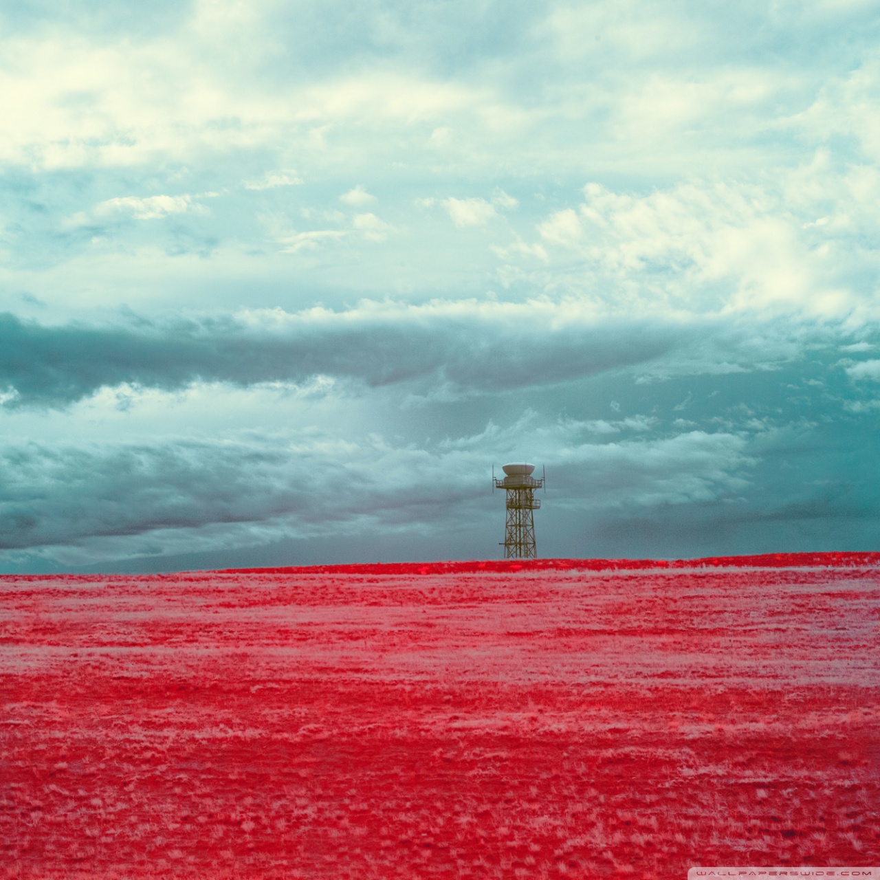 Tablet Computer - HD Wallpaper 