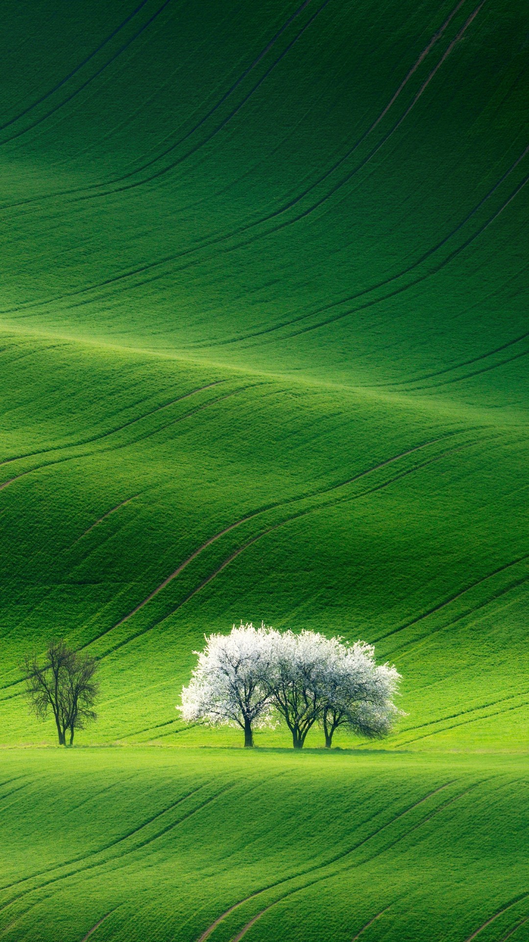 Green Landscape Iphone - HD Wallpaper 