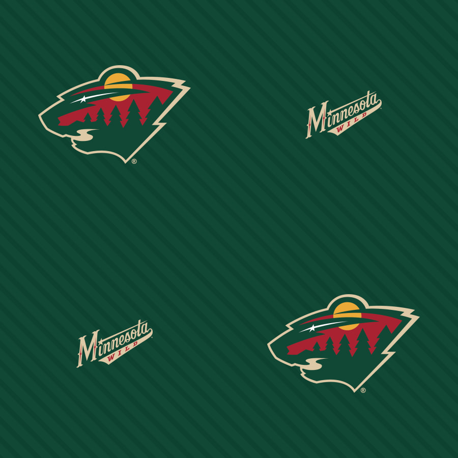 Minnesota Wild - HD Wallpaper 