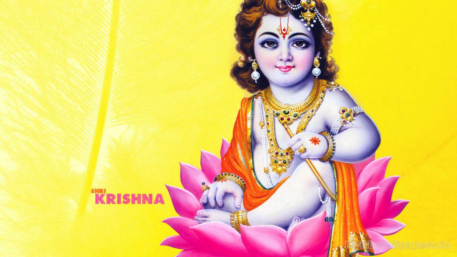 Lord Krishna On Lotus - HD Wallpaper 