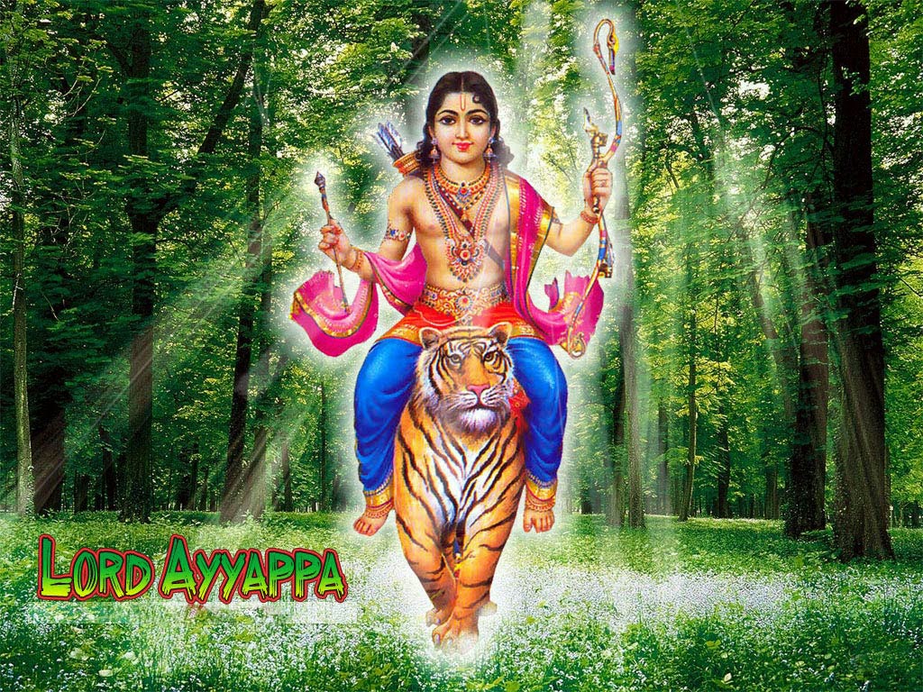 Beautiful Forest Scenery - HD Wallpaper 