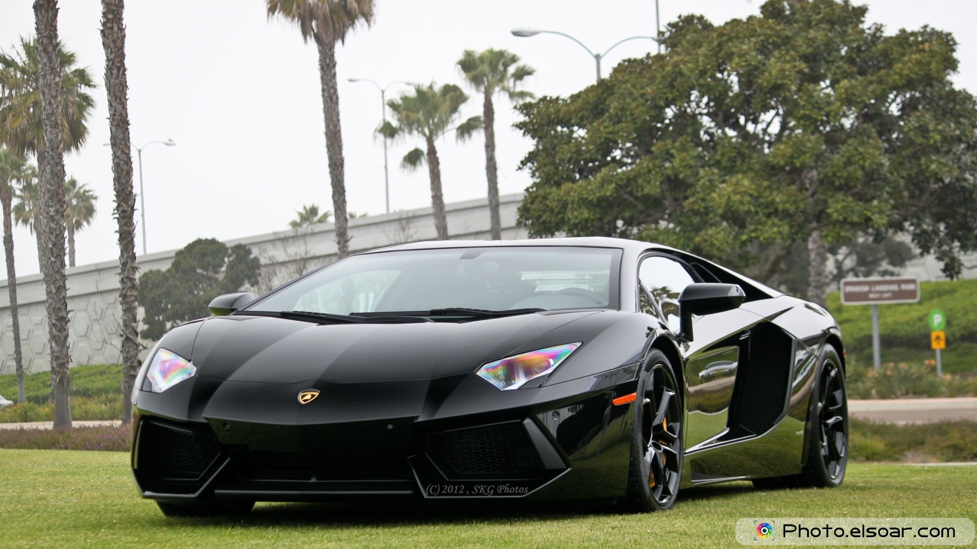 Black Car Over Grass Hd Wallpaper - Lamborghini Images Hd Download - HD Wallpaper 