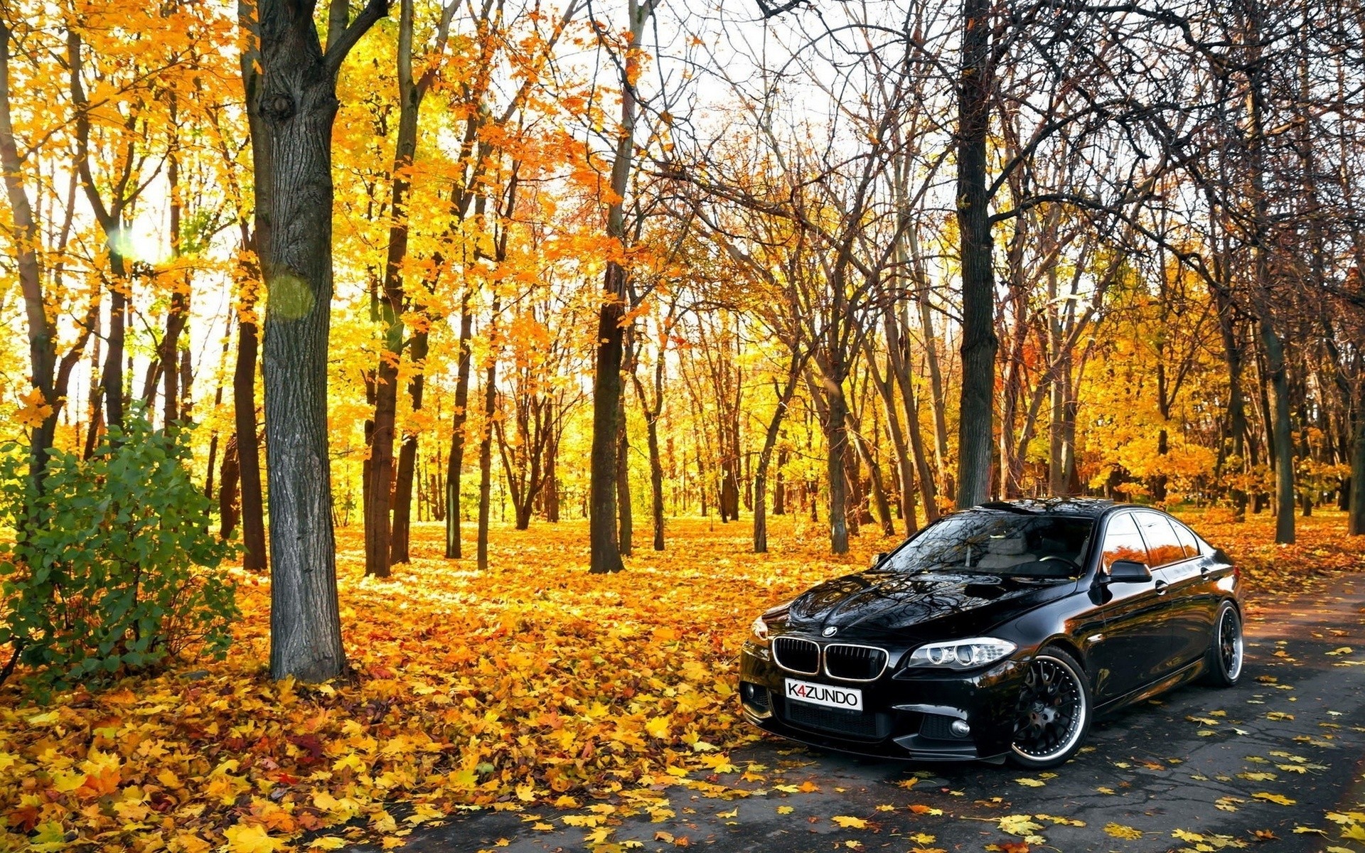 Bmw Wallpaper Nature - HD Wallpaper 