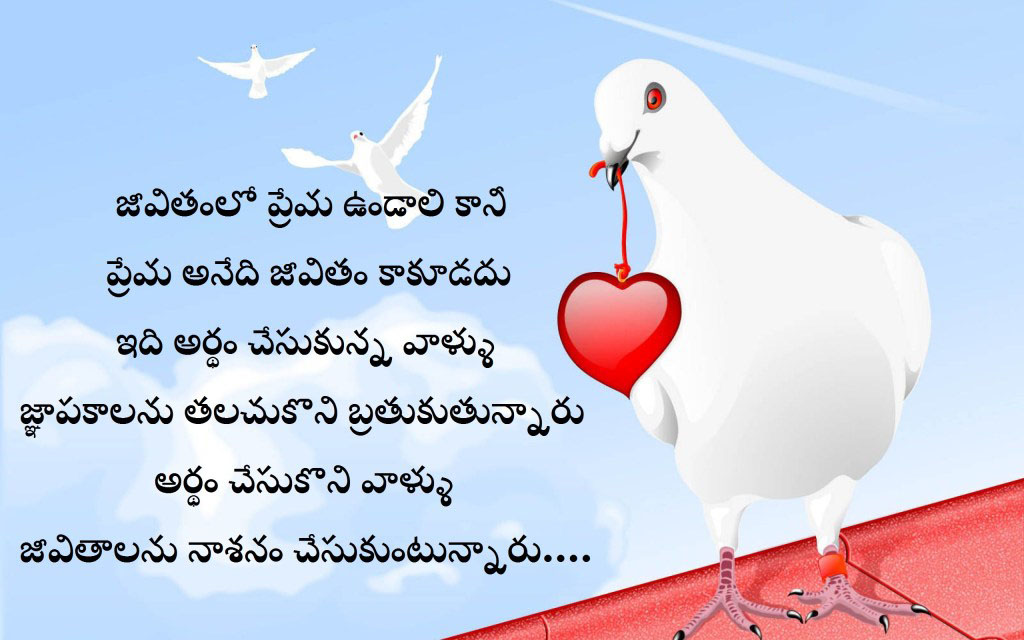 Heart Touching Love Quotes Telugu - Tern - HD Wallpaper 