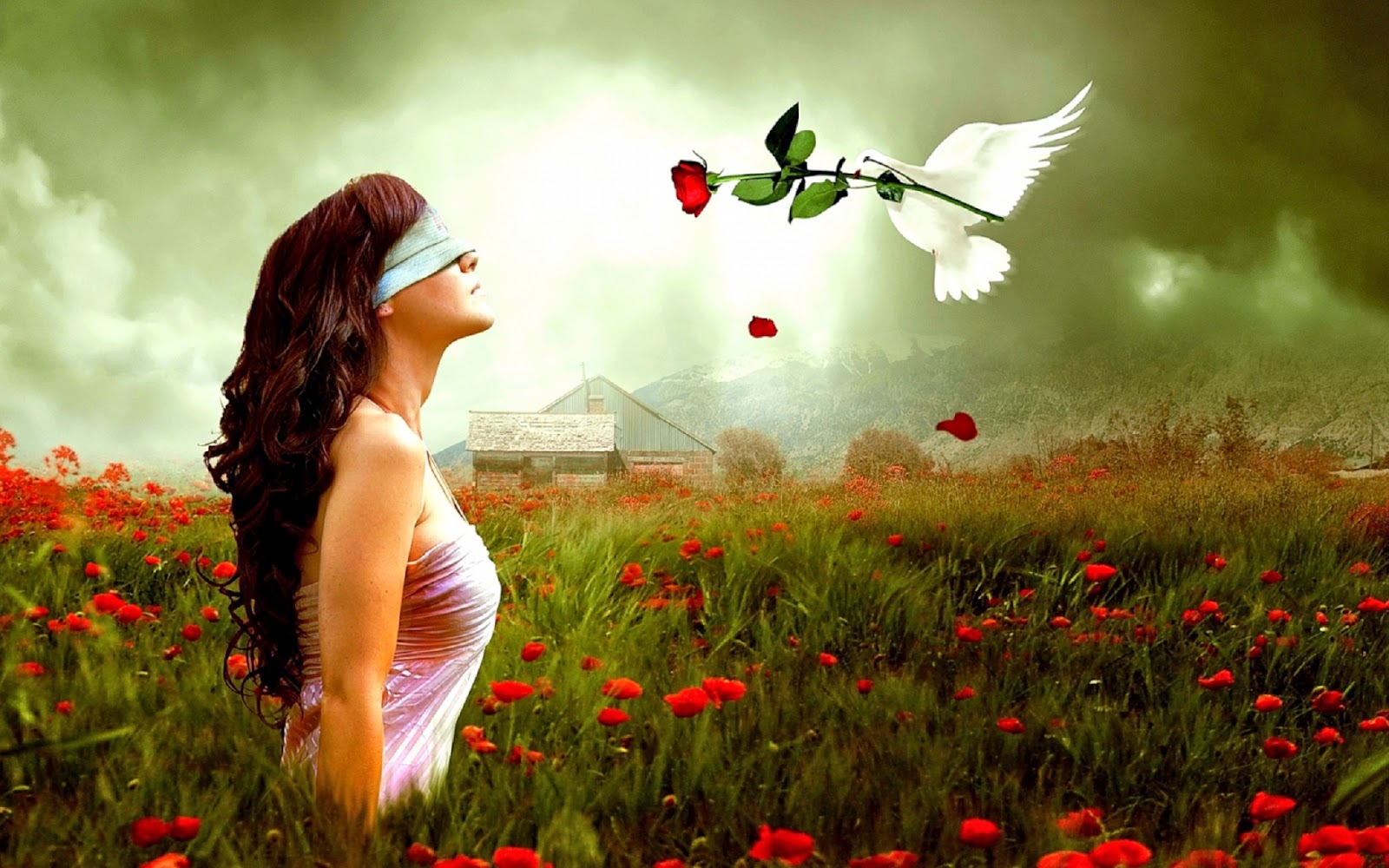 Love Wallpaper Hd 1080p Free Download For Laptop - 1600x1000 Wallpaper - Love Wallpaper Hd 1080p Free Download For Laptop - 1600x1000 Wallpaper -