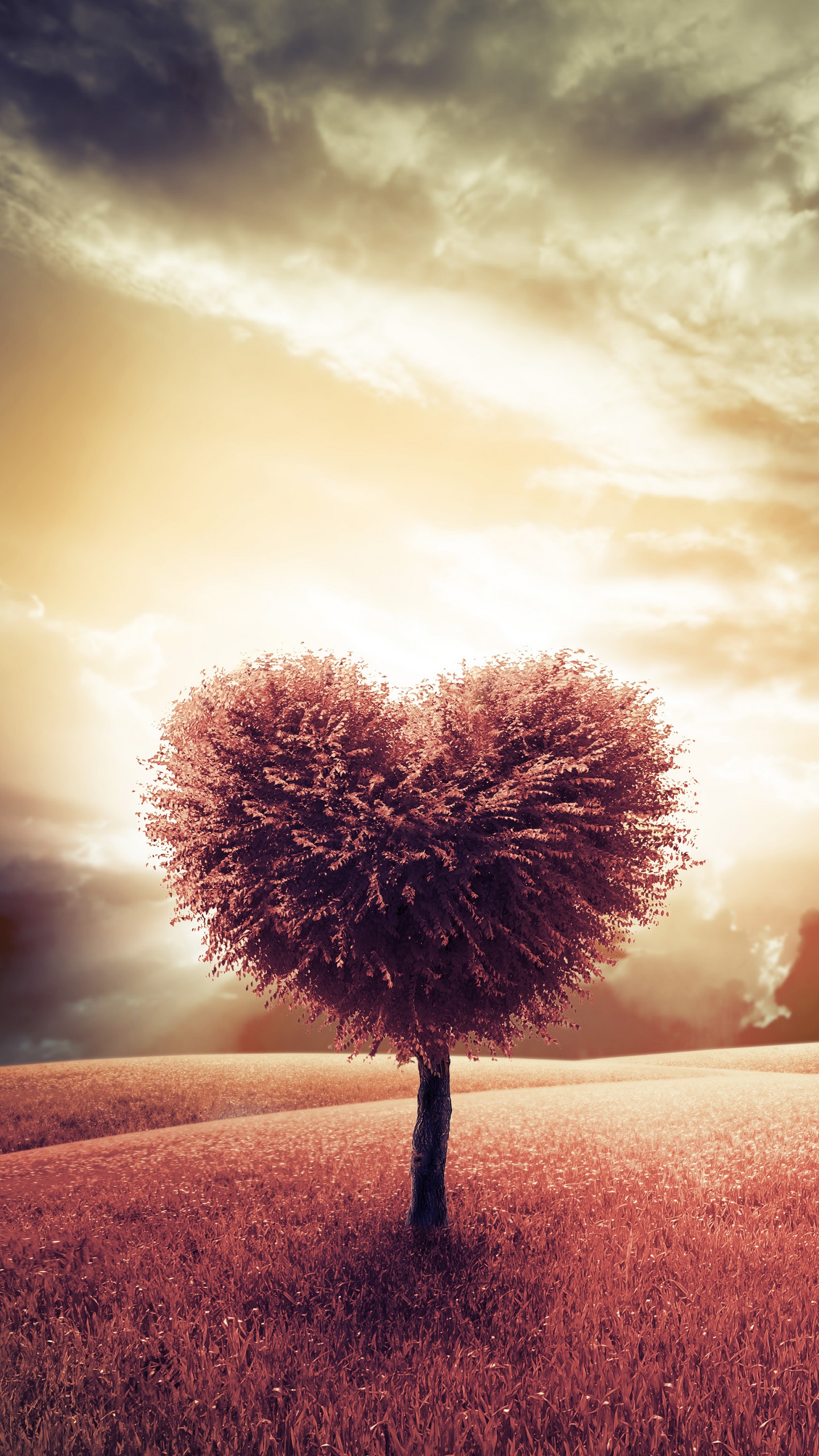 Best Heart And Love Wallpapers 01 - ياقلب لا تجالس الا الذين يفهمونك - HD Wallpaper 
