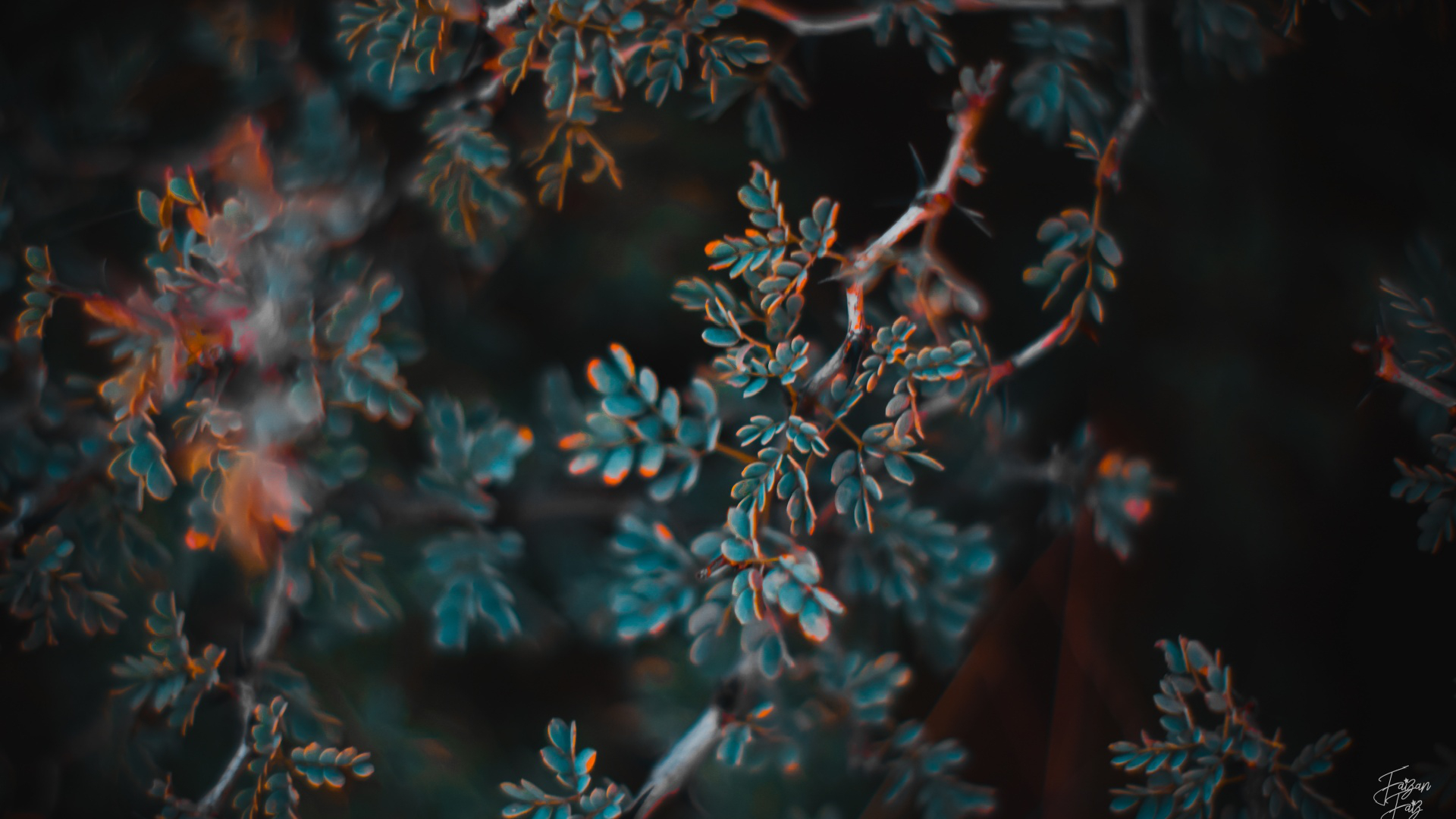 Orange Teal Hd - HD Wallpaper 