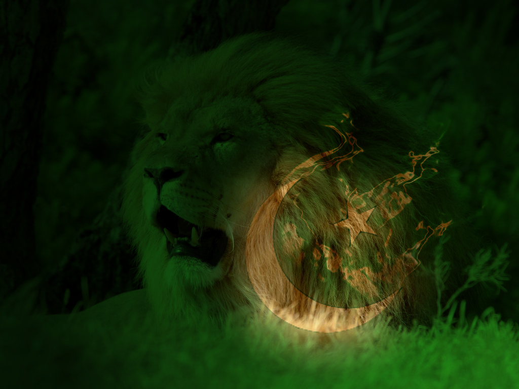 Illustration - HD Wallpaper 