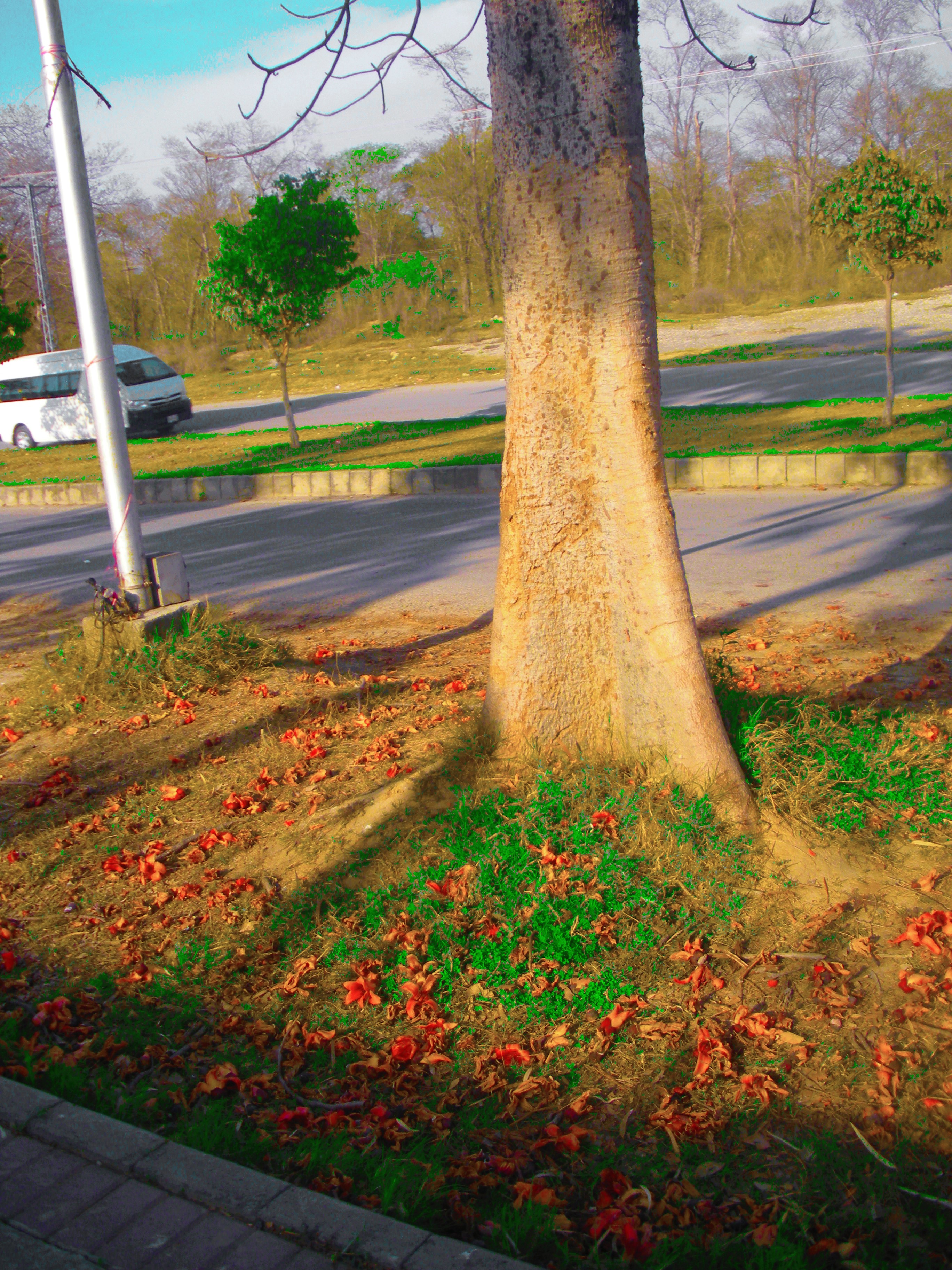 Islamabad H8 - - H8 Islamabad - HD Wallpaper 