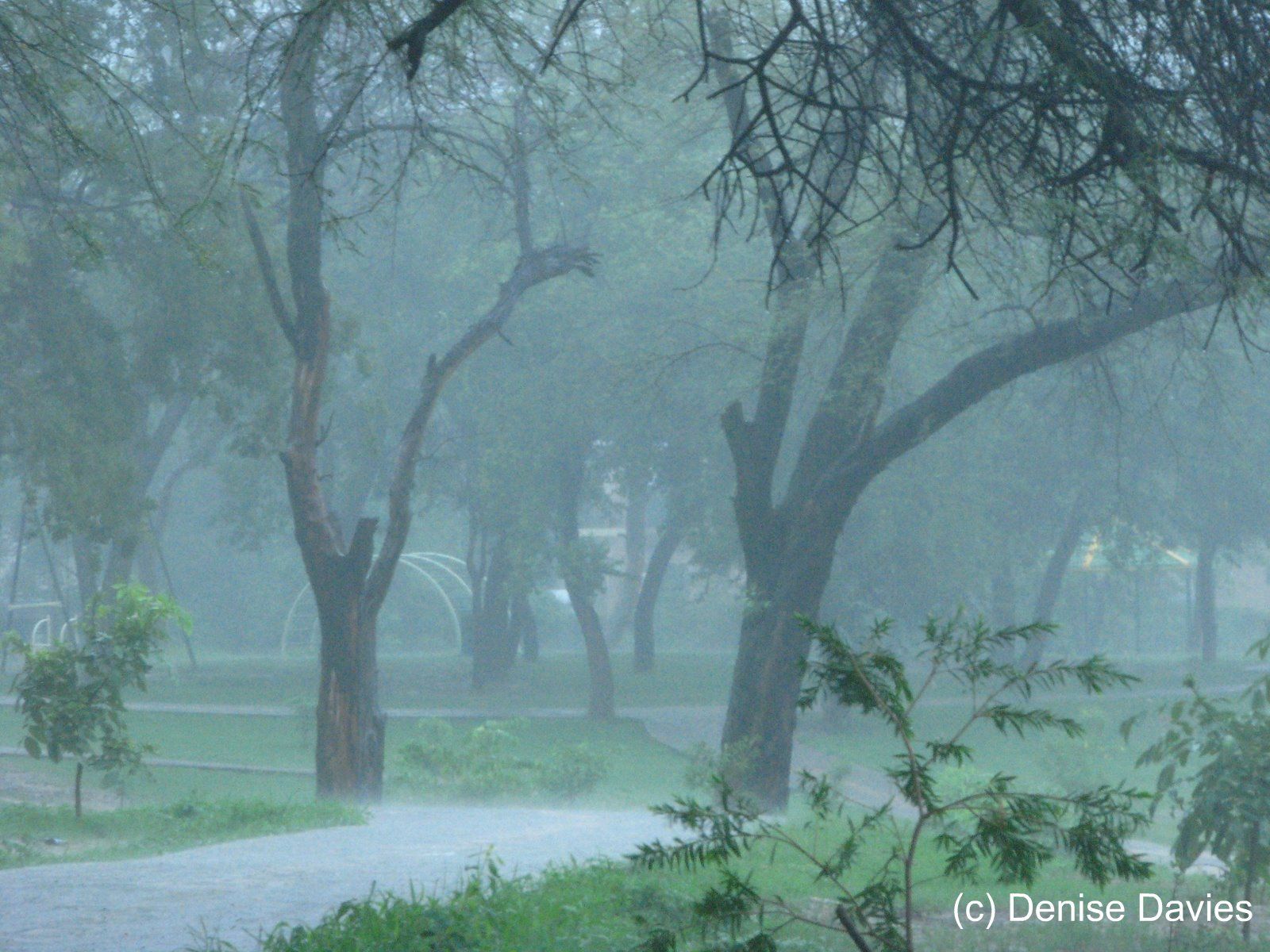 Rainy Morning In Islamabad - HD Wallpaper 