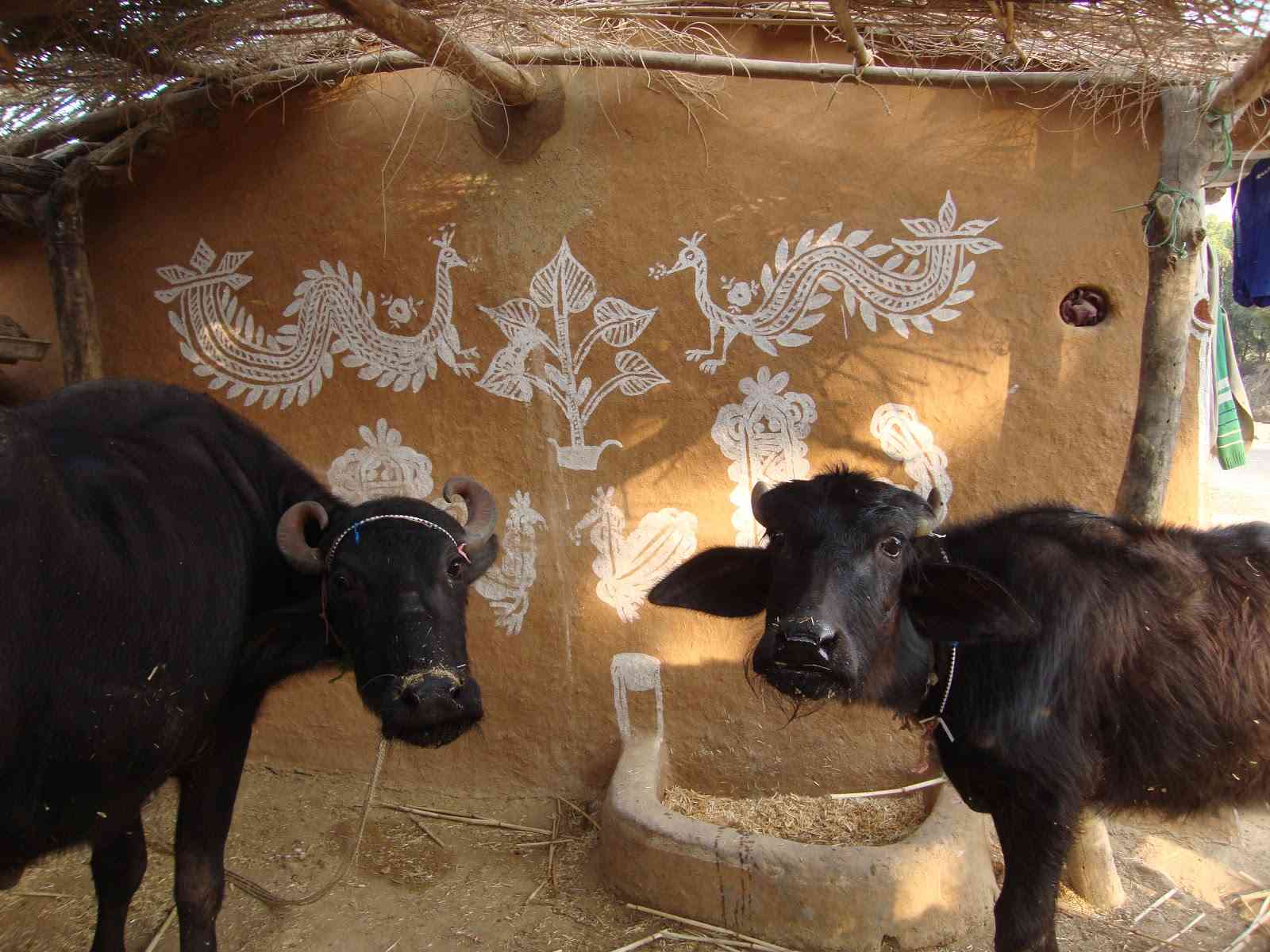 Mandana House Wall Painting - Folk Art Wall In Rajasthan - HD Wallpaper 