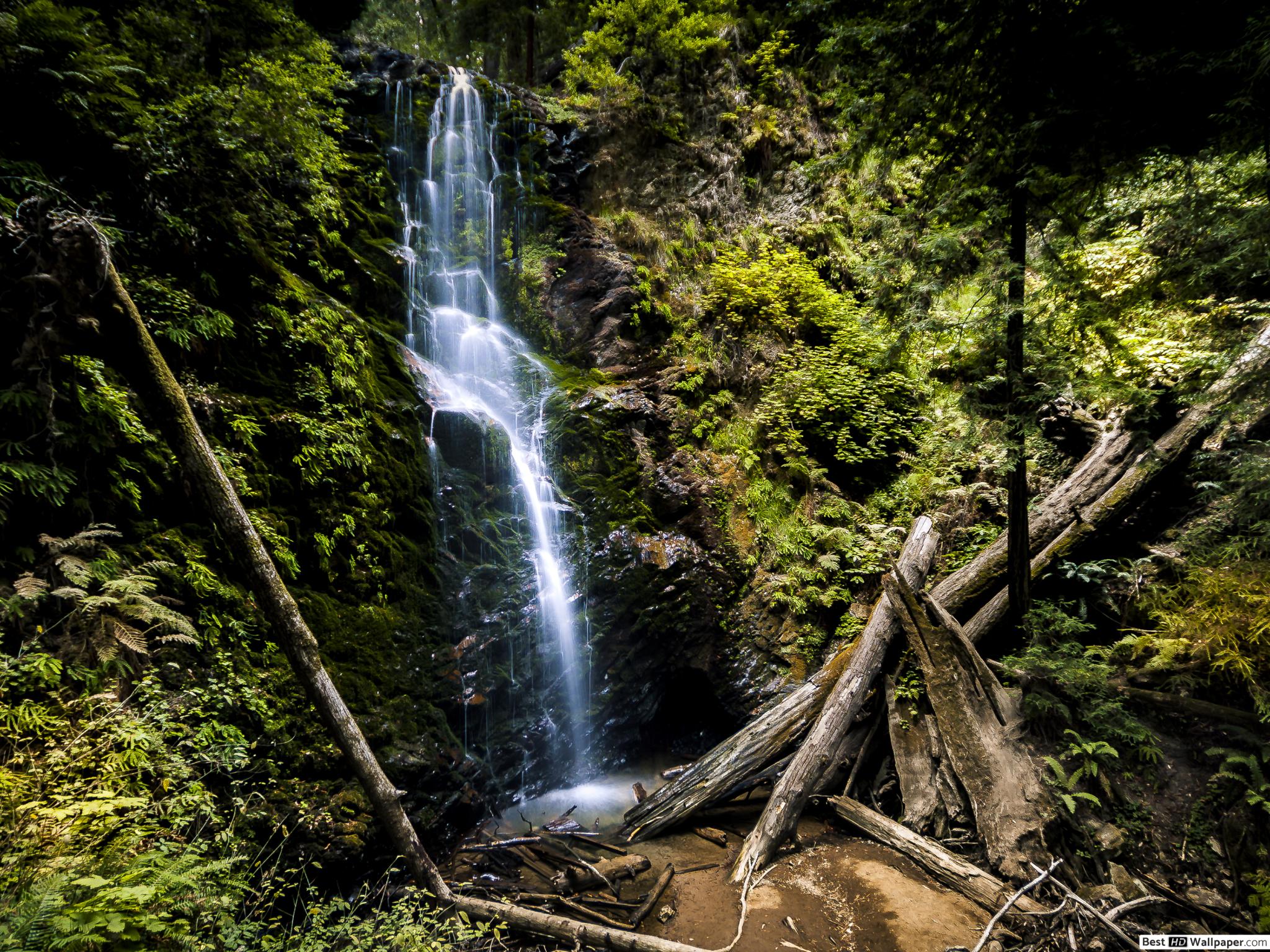 Big Basin Redwoods State Park, Berry Creek Falls - HD Wallpaper 