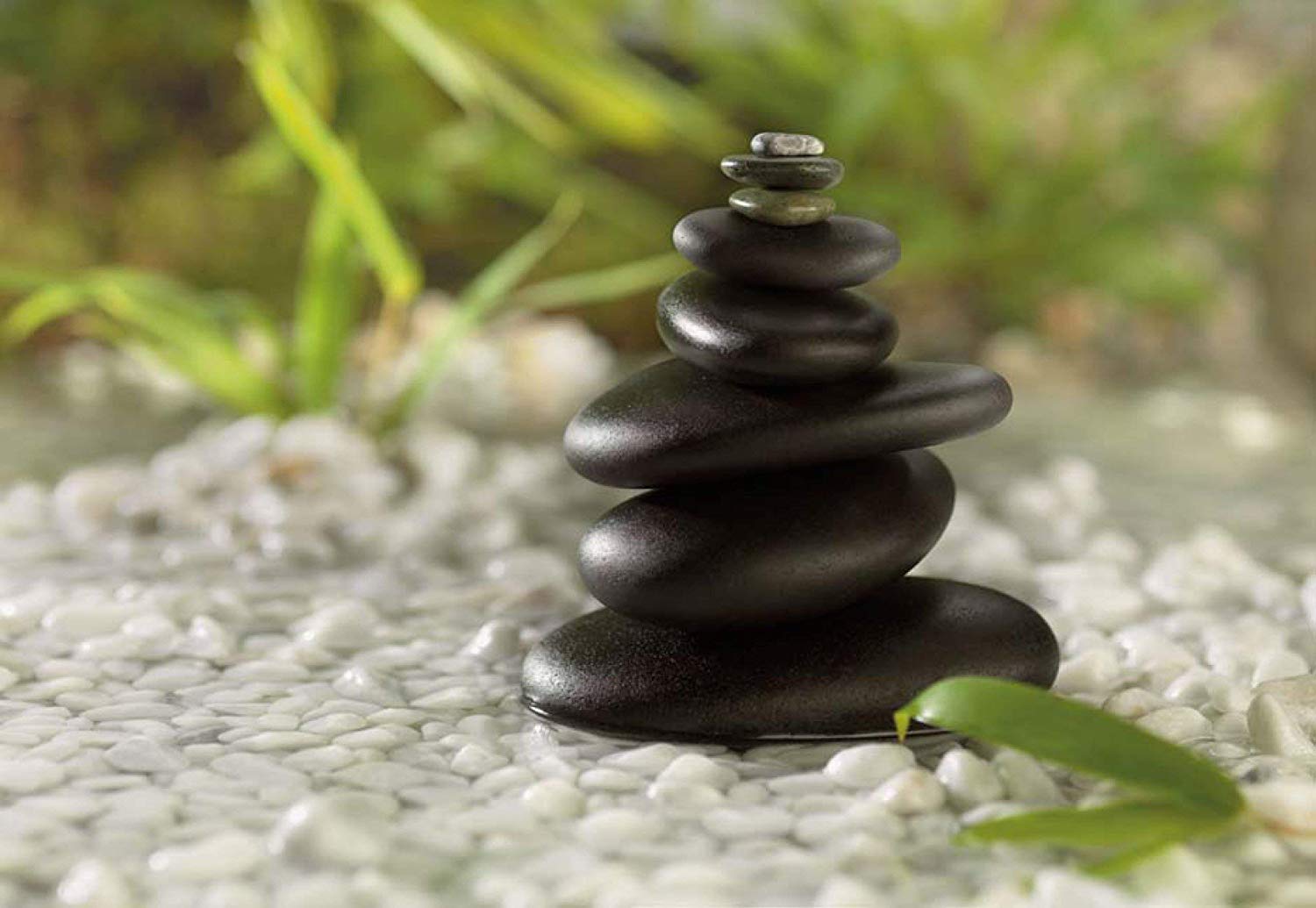 Feng Shui Positivity Paintings - HD Wallpaper 