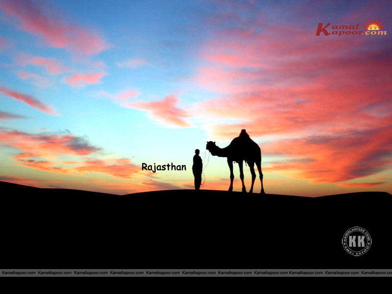 Rajasthani - HD Wallpaper 