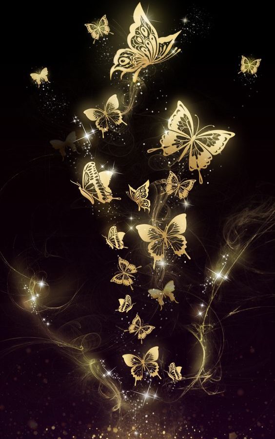 Butterfly Wallpaper For Phone - HD Wallpaper 