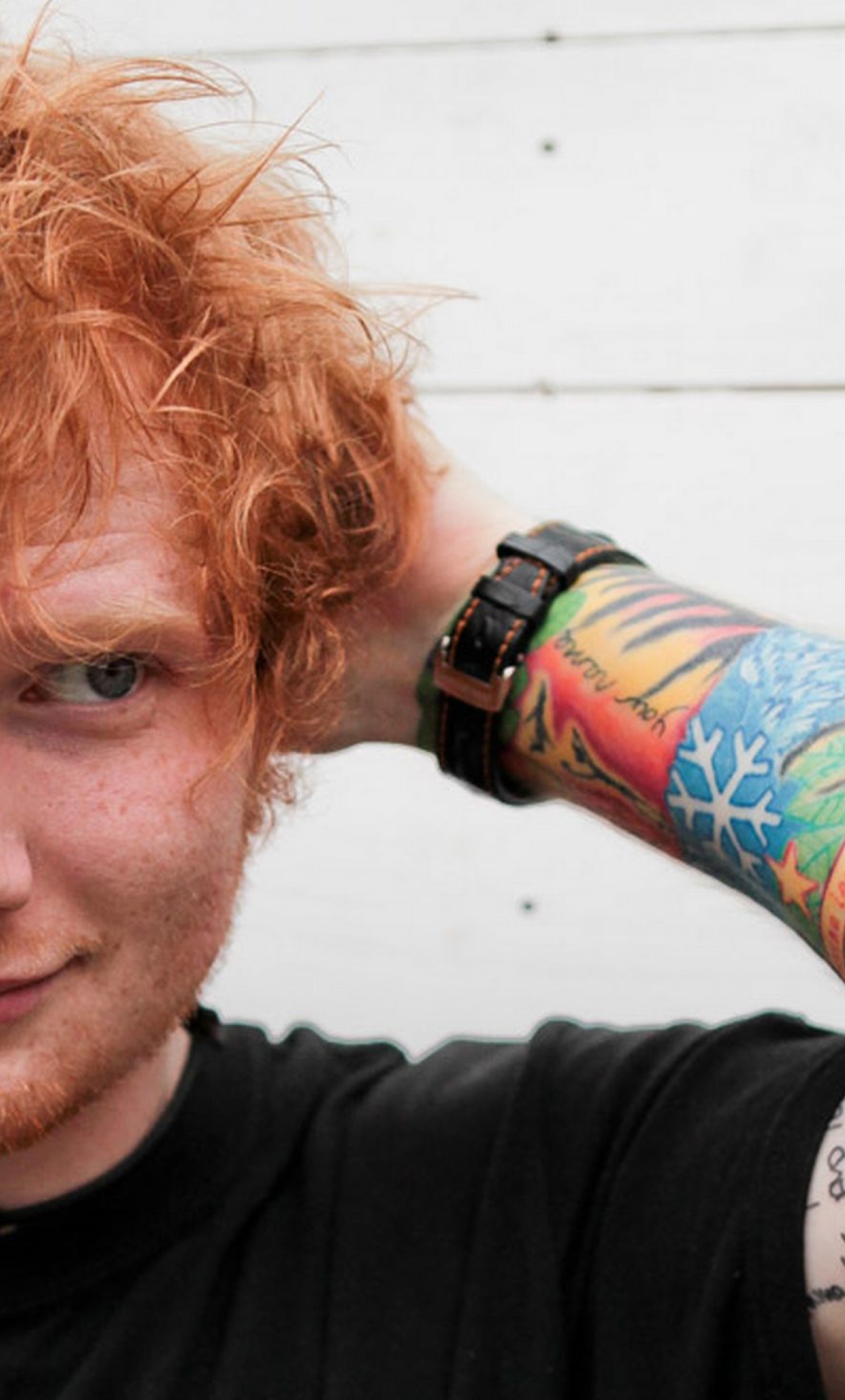 Ed Sheeran With Puppies - HD Wallpaper 