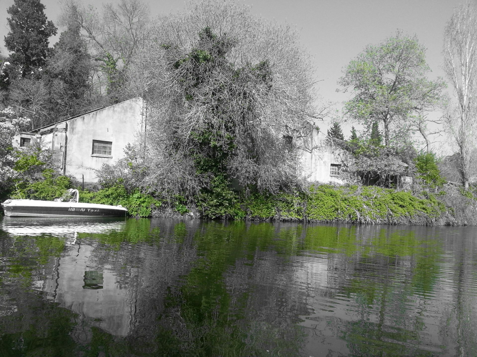 Reflection - HD Wallpaper 