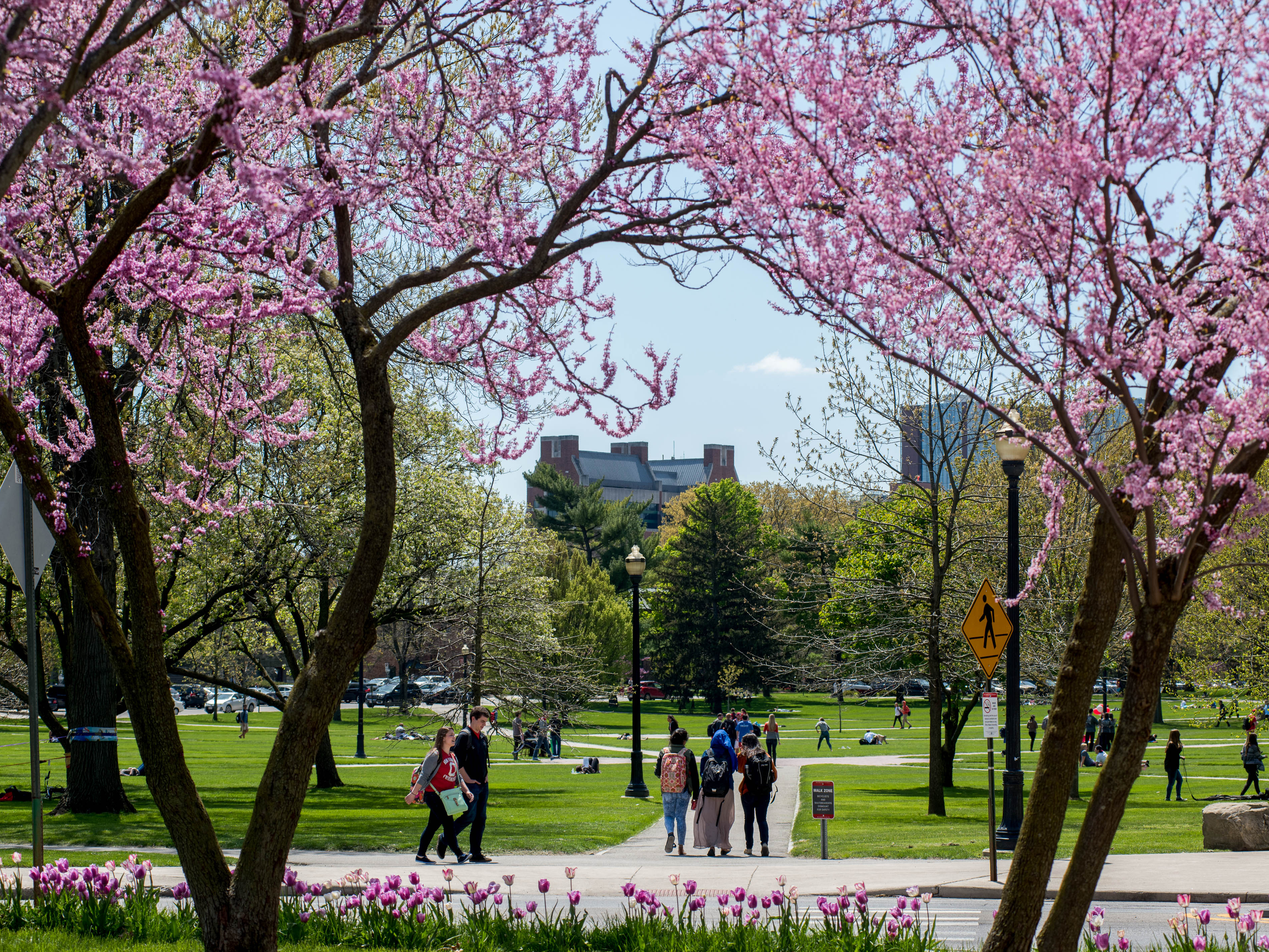 Ohio State University Spring - HD Wallpaper 