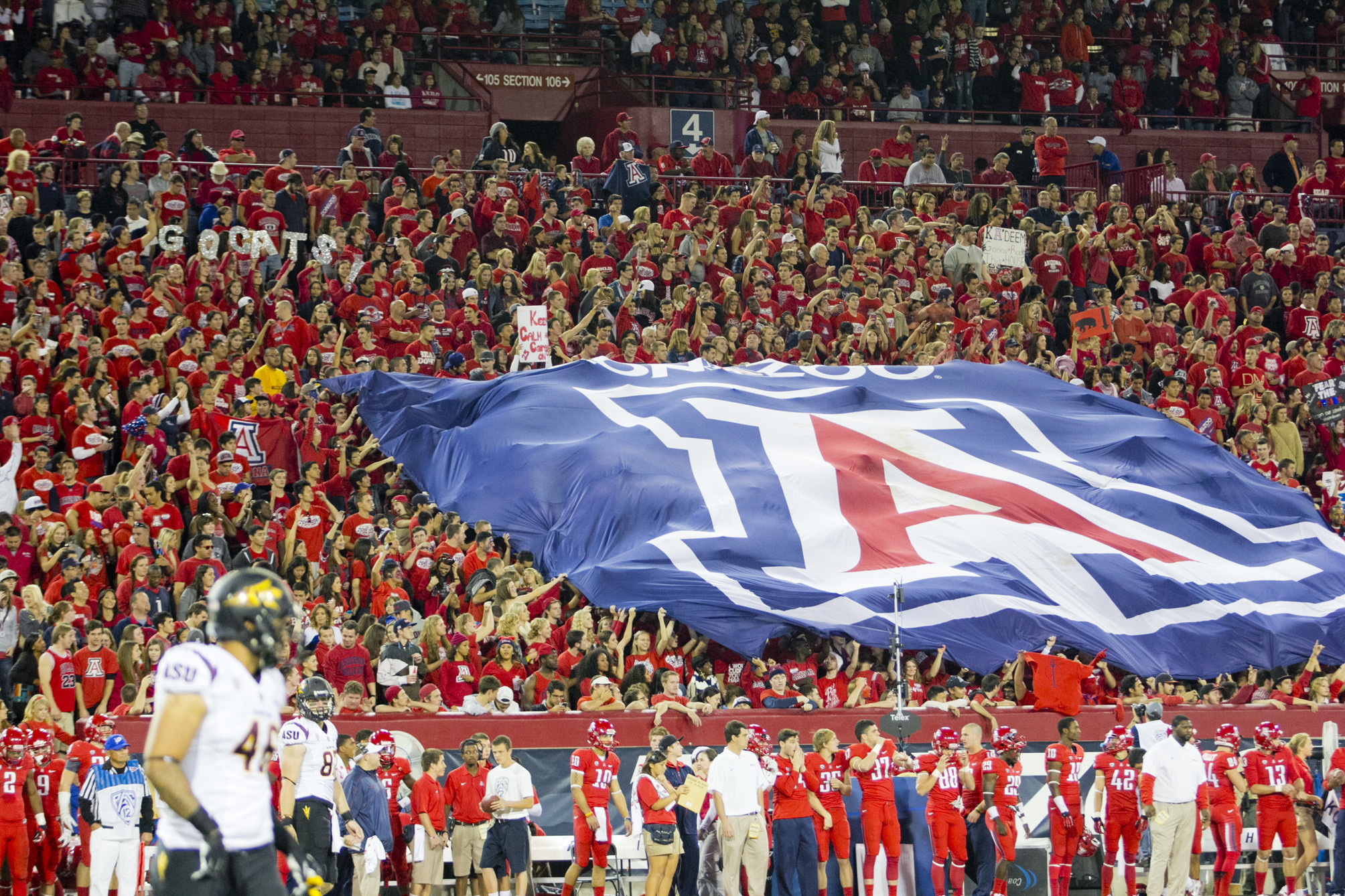 University Of Arizona Crowd - HD Wallpaper 