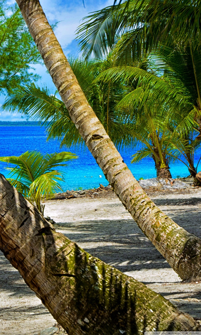 Mobile Phone - HD Wallpaper 