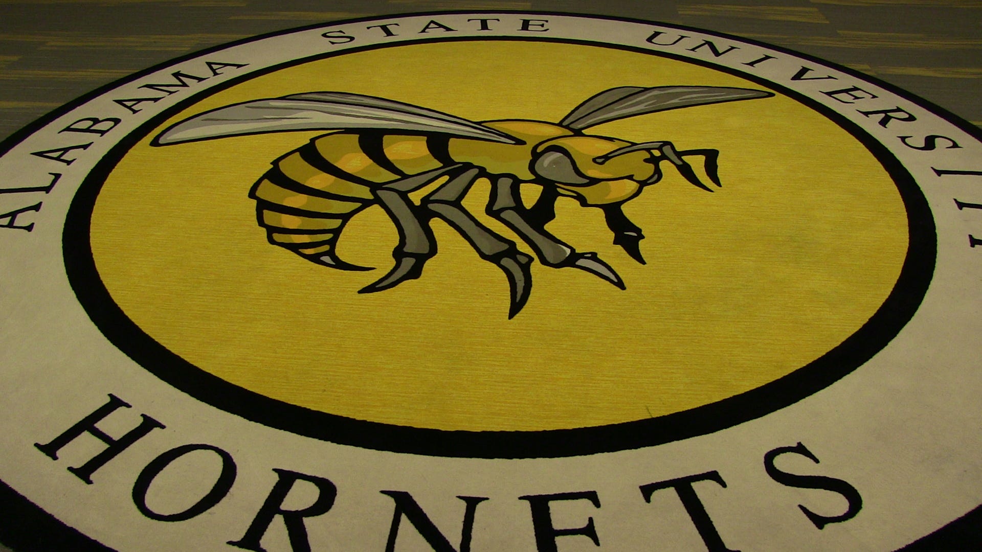 Honeybee - HD Wallpaper 