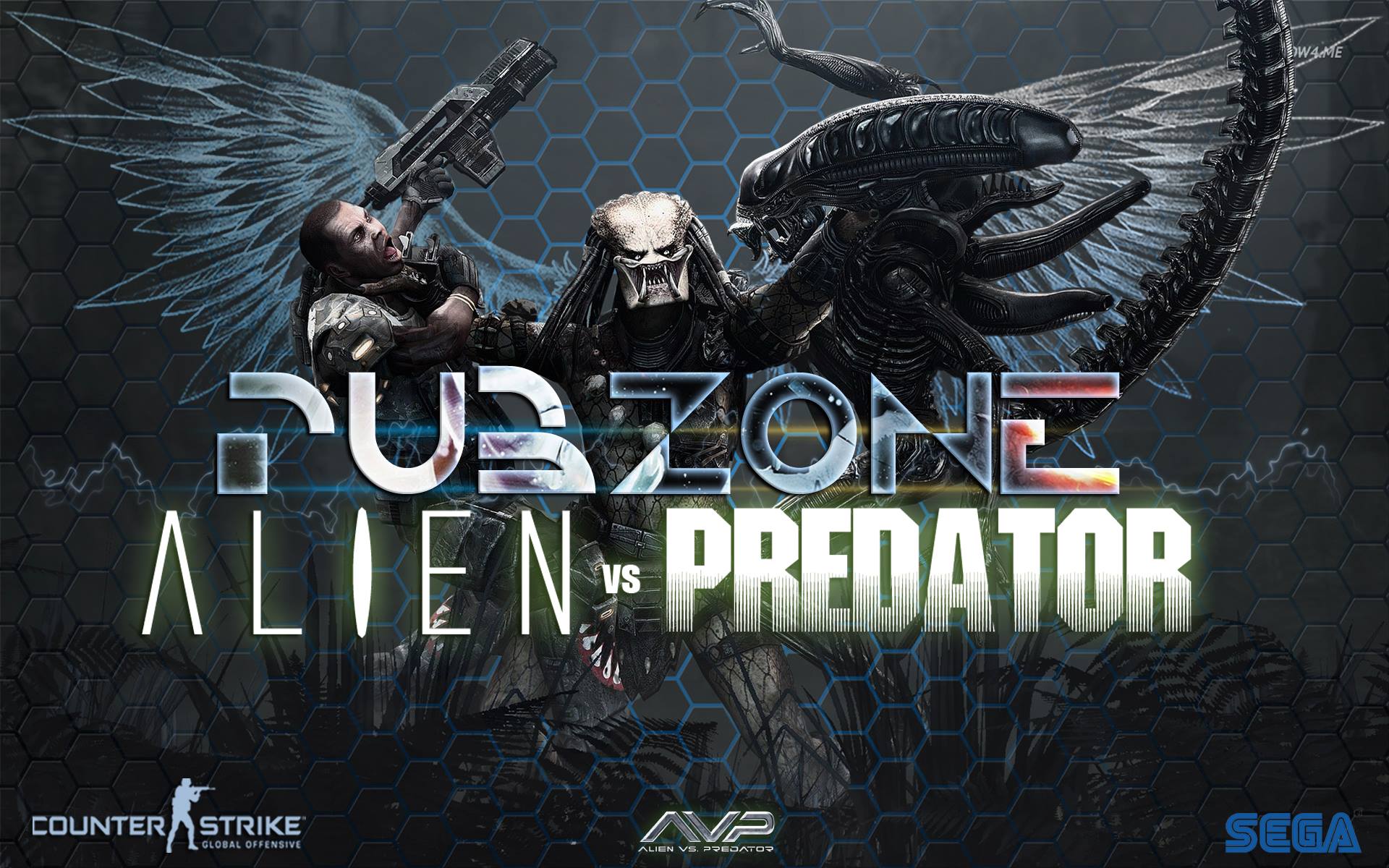 Alien Vs Predator - HD Wallpaper 