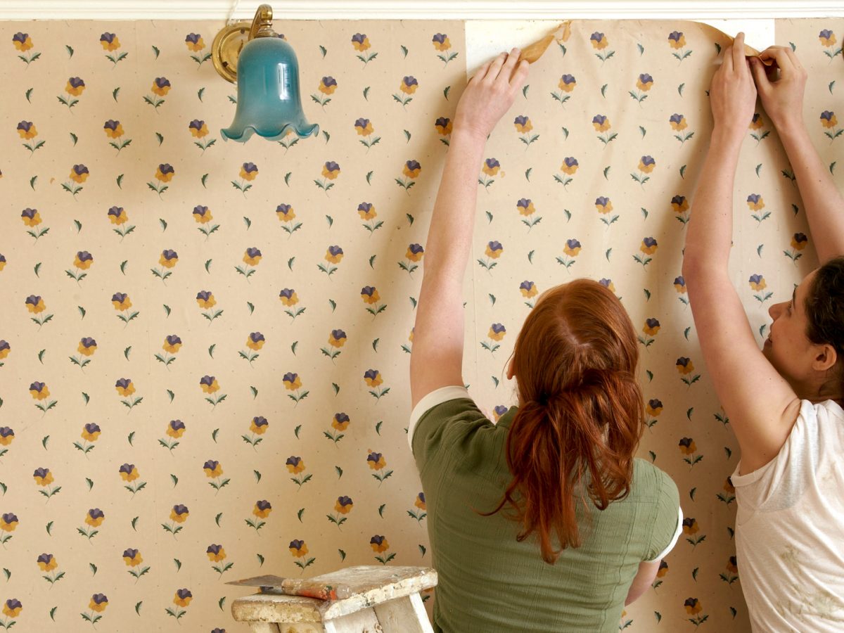 Fazer Papel De Parede - HD Wallpaper 