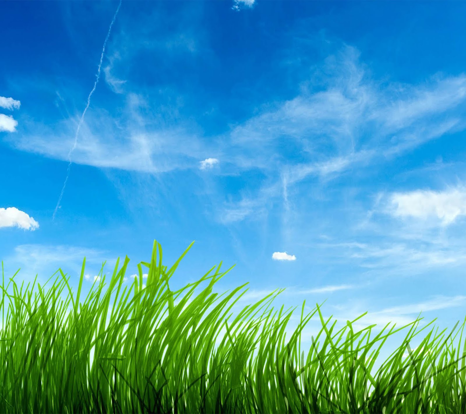 Fb Background Wallpaper - Blue Sky Green Grass - HD Wallpaper 