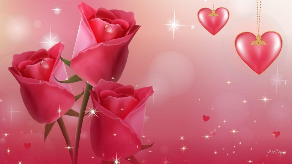 Love Beautiful Rose Wallpaper Hd - HD Wallpaper 