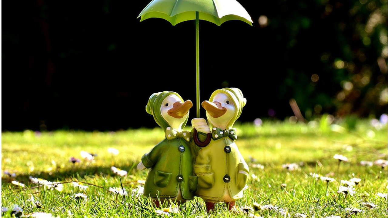 Cute Images - Hd Download - HD Wallpaper 