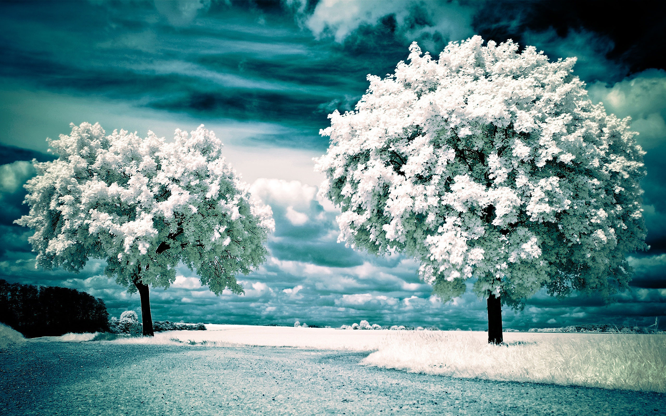 Best Nature Wallpapers 4 Best Nature Wallpapers 3 - Hình Nền Máy ...