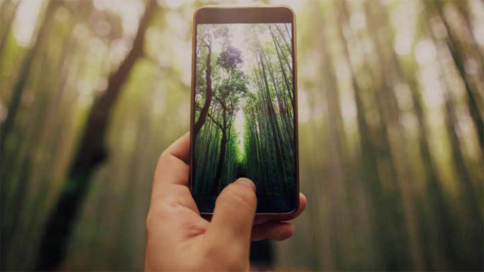 Hd Wallpapers For Mobile 1920x1080 With Quotes