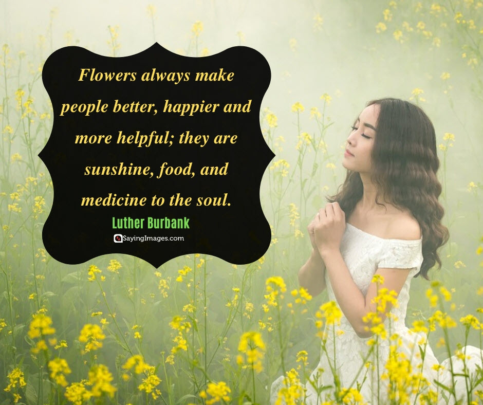 Flower Soul Quotes - HD Wallpaper 