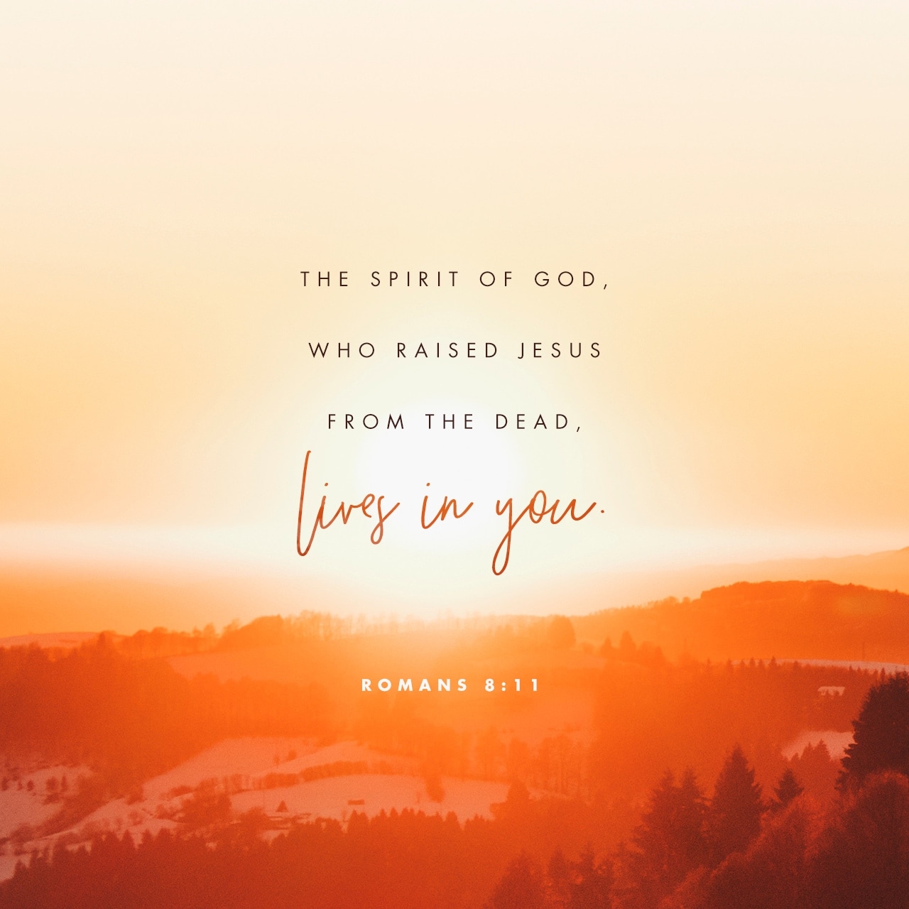 Romans 8 - - Free Scripture - HD Wallpaper 