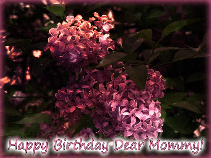 Днем Рождения Мама Гиф - HD Wallpaper 